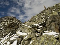 CH, Wallis, Fiesch, Eggishorn 19, Saxifraga-Willem van Kruijsbergen